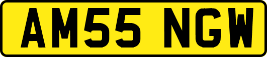 AM55NGW