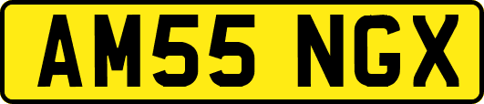 AM55NGX