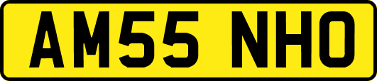 AM55NHO