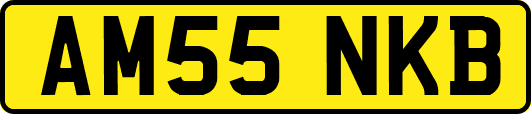 AM55NKB