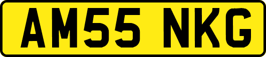 AM55NKG