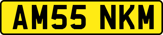 AM55NKM