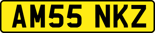 AM55NKZ