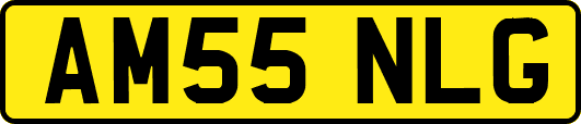 AM55NLG