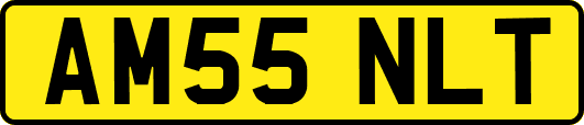 AM55NLT
