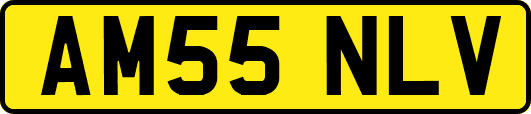AM55NLV