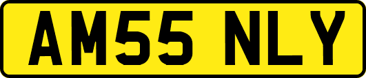 AM55NLY