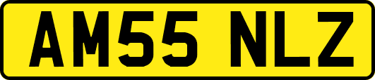 AM55NLZ
