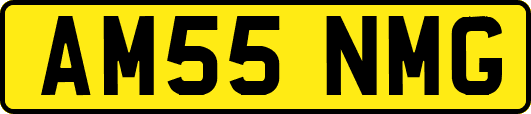 AM55NMG
