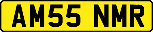 AM55NMR