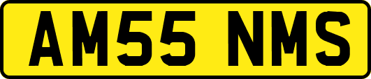AM55NMS