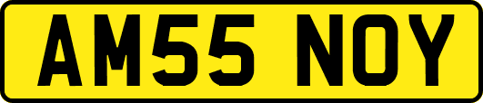 AM55NOY