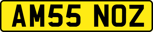 AM55NOZ