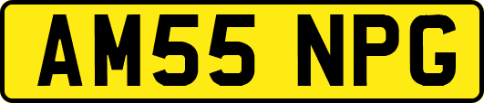 AM55NPG