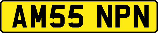AM55NPN