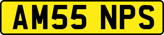 AM55NPS