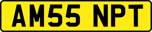 AM55NPT