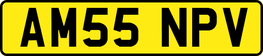 AM55NPV