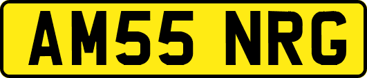 AM55NRG