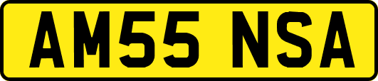 AM55NSA