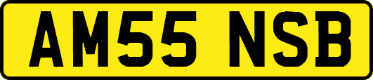 AM55NSB