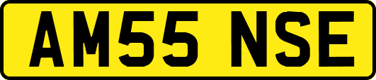 AM55NSE