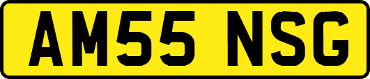 AM55NSG