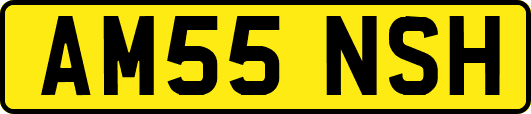 AM55NSH