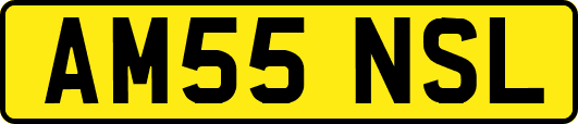 AM55NSL