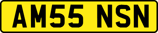AM55NSN