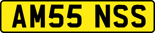 AM55NSS