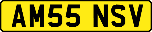 AM55NSV