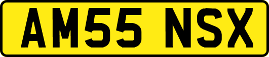 AM55NSX