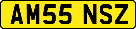 AM55NSZ