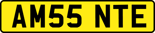 AM55NTE
