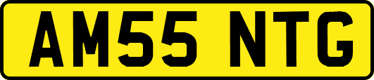 AM55NTG
