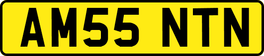 AM55NTN