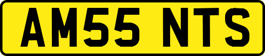 AM55NTS