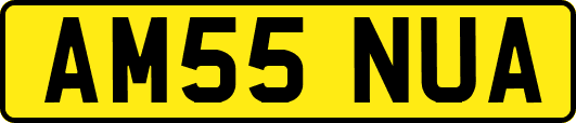 AM55NUA