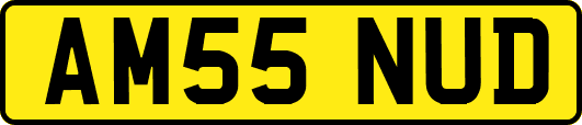 AM55NUD