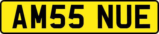 AM55NUE