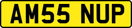 AM55NUP