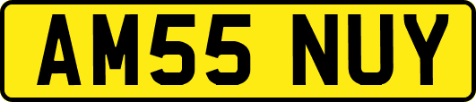 AM55NUY
