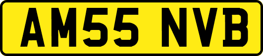 AM55NVB