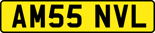 AM55NVL