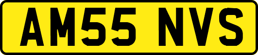 AM55NVS