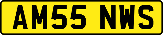 AM55NWS