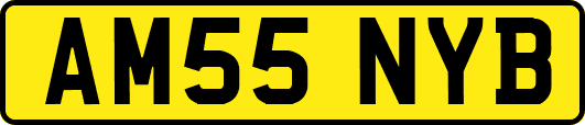 AM55NYB