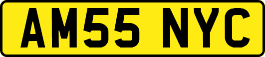 AM55NYC