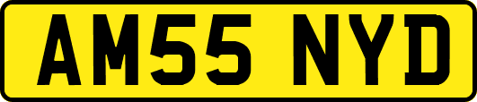 AM55NYD